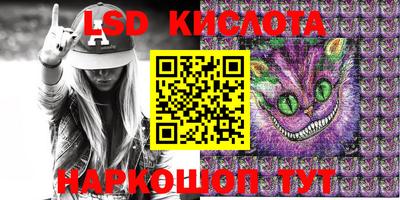 индика Гусь-Хрустальный