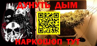 индика Гусь-Хрустальный
