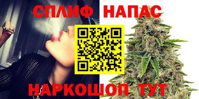 сатива Гусев