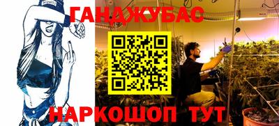 индика Гусь-Хрустальный